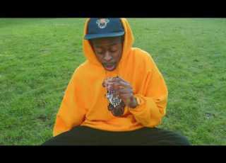  JOEJAS SALLY S HEARTBREAK PICNIC