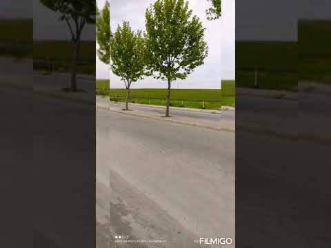 آغﮧنﮧيﮧة واش يخصك آلﮧفﮧنﮧآنﮧ عبدالحميد شواكري