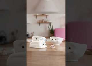 TASSEN Die Überraschung TASSENshorts Shorts 58products