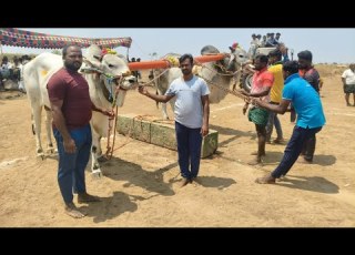 ఉల చ ల 6పళ ళ వ భ గ 5వ జత
