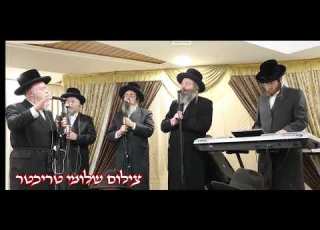 מעמד אדירי התורה בירושלים סערט ויזניץ