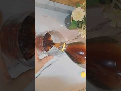 Get Rid Of Cockroaches Permanently With An Empty Bottle Home Ideas Get Rid Of Cockroaches Permanently With An Empty Bottle Home Ideas