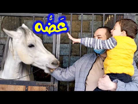 بدنا نروح على مكان جديد اسمه