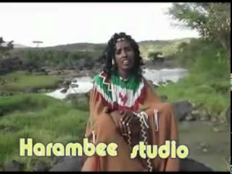 OROMIYAA BY WAARITEE FURII YouTube Flv OROMIYAA BY WAARITEE FURII YouTube Flv
