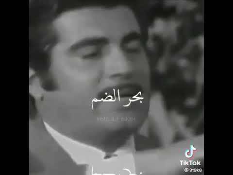 صخر الصم كفوفي انشم دمي نحم ونادوني زجل لبناني ريمكس زغلول دامور