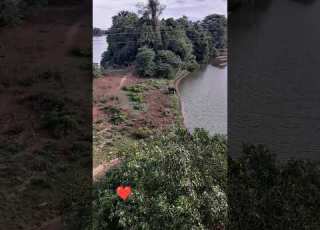  Manampitiya Bridge And Mahaweli River
