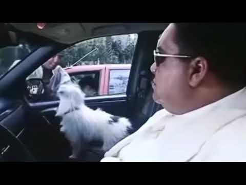 انا كينج الشغلانة