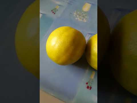 Dont Buy Full Yellow Limbu Buy Medium Greenish Yellow Viral Limbu