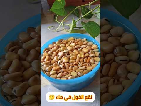 طريقة الفول المدمس على أصوله مش حتبطلي تعملي الطريقة دي معلومة صدمتني د لايك اشتراك طريقة