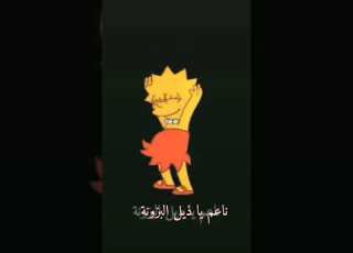 ناعم يا ذيل البزونة Kim Zahra