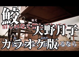 ニコカラ 鮫 Off Vocal 天野月子