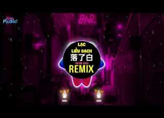 落了白dj小金 0 9X 国会鼓DJ抖音版 2025 Lạc Liễu Bạch Remix Tiktok 蒋雪儿 落了白 Dj小金 ProgHouse Mix国语女 DJ抖音热播版