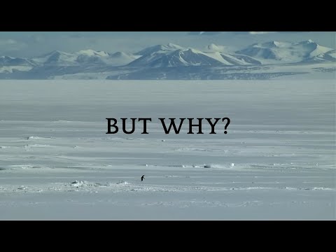 Mountain Penguin X L Amour Toujours Gigi D Agostino Organ Version