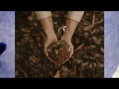 BEAUTIFUL JONNY HOULIHAN AAM MUSIC BEAUTIFUL JONNY HOULIHAN AAM MUSIC