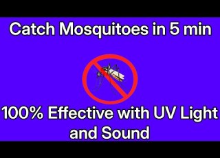  ATTRACT MOSQUITO SOUND UV LIGHT FIND MOSQUITO IN ROOM 100 EFFECTIVENESS