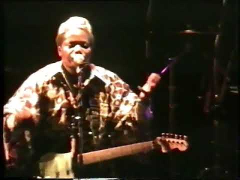 Shiilingi Yaua Simba Wanyika