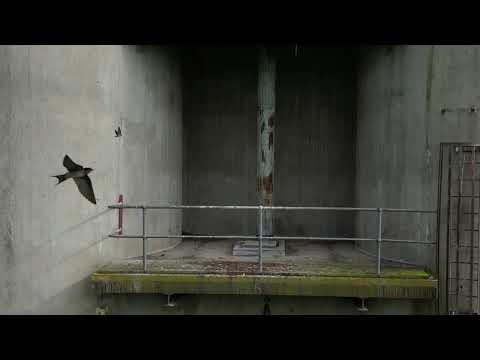 Bendick Murrell S016 Silo