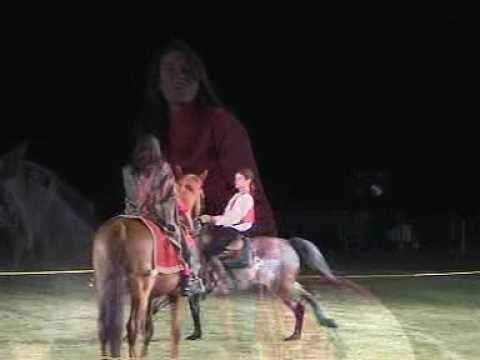 DAMEKA Damien Madiot CHANSON A CHEVAL VOLTIGE Horses Musicians