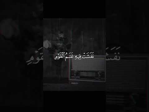 وداود وسليمان إذ يحكمان فى الحرث عبدالباسط عبدالصمد