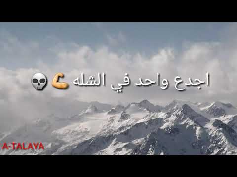 حاله وتس مهرجان يا هارم حسن شاكوش