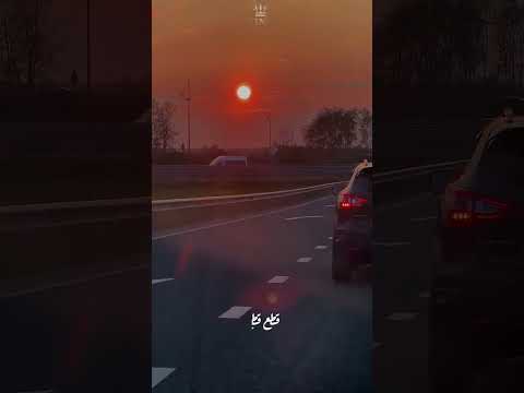 انتهي صلاحية العسل دنيا وائل لايك اشتراك Ahmed Elngar اكسبلور Foryou