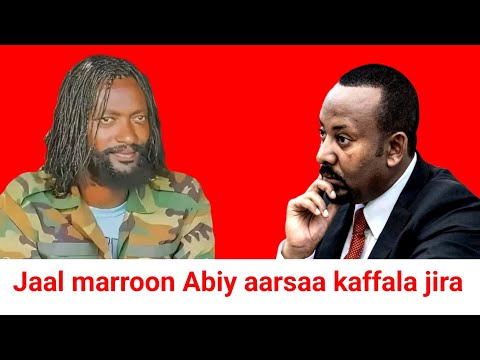 ODUU Hatattamaa Jaal Marroo Abiy Aarsaa Qaalii Kaffala Jira Jedhan