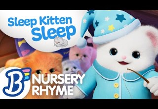 Sleep Kitten Sleep Badanamu Nursery Rhymes ABC Songs Kids Songs And Lullabies