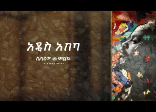 Sami Dan አዲስ አበባ Addis Ababa Official Audio Ethiopian Music 2025 Samidan New Album