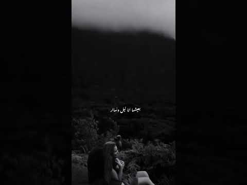 اليسا حب كل حياتي وقلبي خلاص اختار