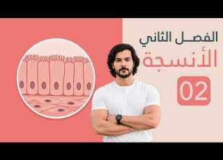  المحاضرة 2 الفصل الثاني النسيج الاساس البرنكيمي الكولنكيمي السكلرنكيمي أ قاسم آل ذيب