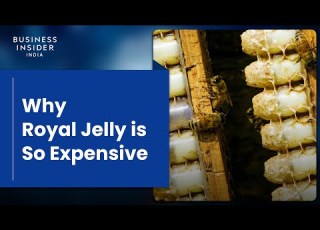Why Royal Jelly Is So Expensive