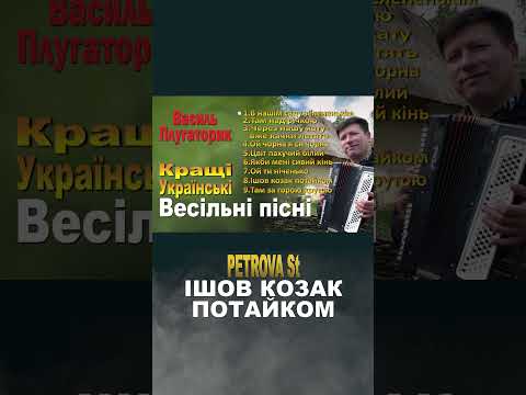 КРАЩІ ВЕСІЛЬНІ ПІСНІ 2 ЗБІРКА УКРАЇНСЬКИХ ВЕСІЛЬНИХ ПІСЕНЬ Music українськамузика Musicua