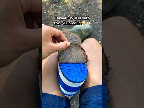 Amazon SneakerSoul Sole Protector Nike Sneakerprotection Soleprotector