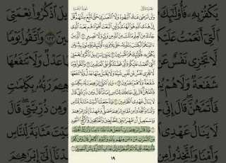  سورة البقرة صفحة 19 20 21 ماهر المعيقلي للحفظ