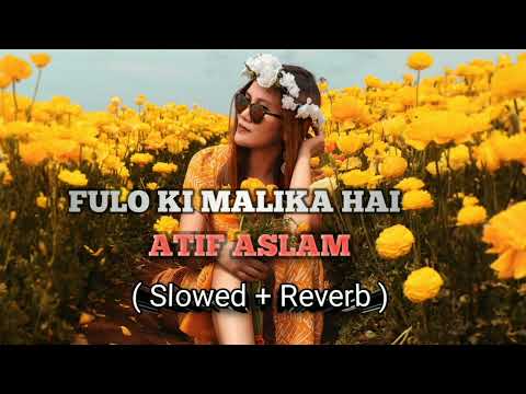 Fulo Ki Malika Hai Song Slowed Reverb Song By Atif Aslam Please Support Me