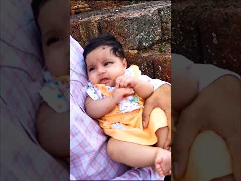 Ivanshi Chaleya Teri Ore Tera Chaleya Hai Zor Saha Rukh Khan Nayanthara Jawan Movie