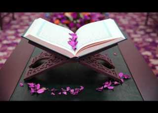 073 سورة المزمل سعد الغامدي بدون إعلانات