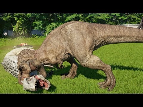 T REX MAX Vs ALL CARNIVORE DINOSAURS Jurassic World Evolution