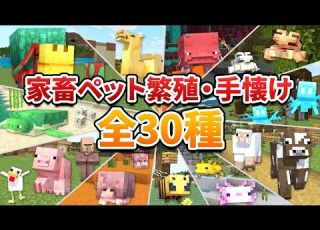  全30種 ペット家畜モブの繁殖方法と手懐け方を紹介します マイクラ1 21 統合版 Switch スマホ