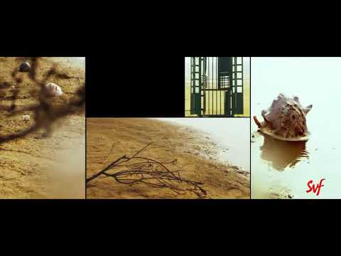 Bogana Sa Bogana By Arijit Sing