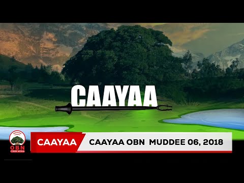 Caayaa OBN Muddee 06 2018