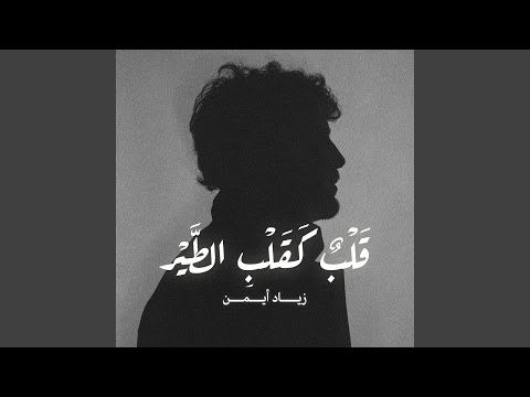 قلب كقلب الطير