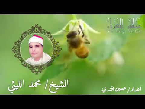 رائعة النحل ناهيا لعملاق القراء الشيخ محمد الليثي رائعة النحل ناهيا لعملاق القراء الشيخ محمد الليثي
