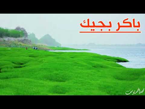 باكر بجيك قاطع مسافات العشم