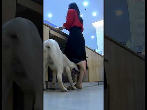 Puppy Love Pretty Feet EP4 Playing With Adorable Little Feet Chictoes Toesonpoint