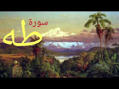 ما تيسر من سورة طه القارئ وليد ابراهيم الفلوجي تلاوة رائعة الطور العراقي ما تيسر من سورة طه القارئ وليد ابراهيم الفلوجي تلاوة رائعة الطور العراقي