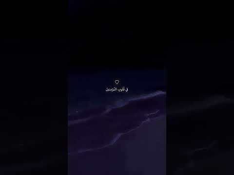 هو الذي انزل السكينة في قلوب المؤمنين القارئ عبدالرحمن مسعد راحة نفسية