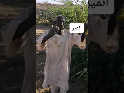 انا ناوي على المدينة