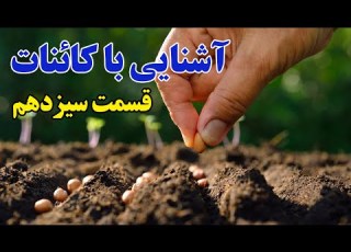  آشنایی با کائنات 13 کاشت و برداشت ذهن پنهان Planting حمید قهرمانی