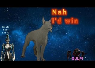  Post Koumei Kubrow Tierlist WHAT KUBROW IS NOW BUSTED Build Guide